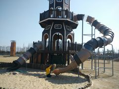 -上海长兴岛郊野公园