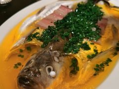 葱油蒸白水鱼-玫瑰厅上海菜(兴国路店)