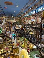 -卡通尼·Safari非洲探索乐园·生日会(金桥国际商业广场店)