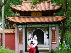-福清灵石山国家森林公园