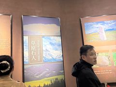 -特克斯八卦城