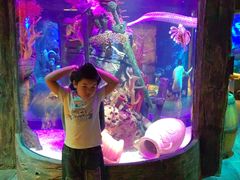 -沈阳海洋探索中心