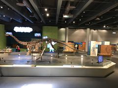 -香港科学馆
