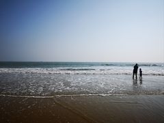 -日照海滨国家森林公园