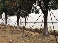 景点-滆湖低碳生态公园