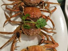 -碧海渔村(黄埔东路店)