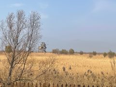 -野鸭湖国家湿地公园