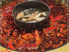 -一斗火锅·招财羊毛肚(上河城店)
