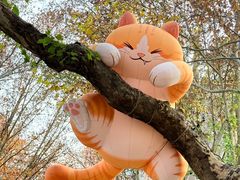 -西安电影制片厂