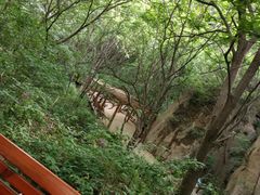 -大岭沟猕猴桃谷风景区