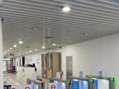 -北京科技大学-游泳馆