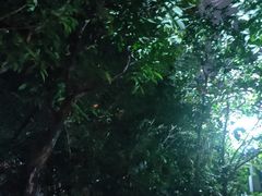 -福州工人文化宫