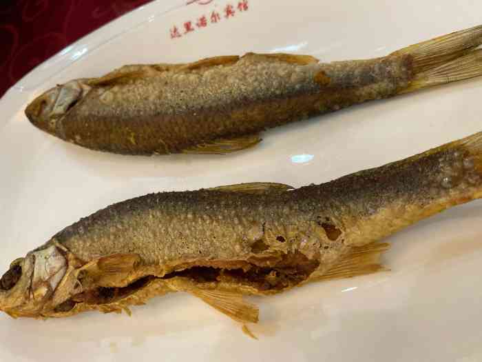 鱼把头-"老板娘很热情,华子鱼味道一般,吃鱼还得去."-大众点评移动版