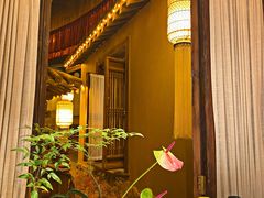 -叶叶菩提·晋福宫