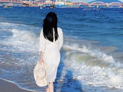 -玫瑰海岸文化旅游度假区