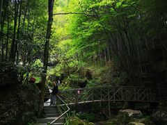 -山沟沟景区