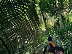 -海南热带雨林国家公园吊罗山景区