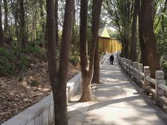 -灵岩山风景区