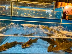 水产区-海鲜自助餐厅·株洲大汉希尔顿酒店