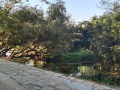 -花溪公园
