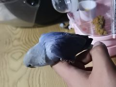 -派联宠物医院·24h·CT·异宠
