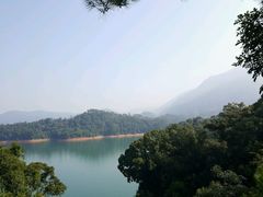 -广州市流溪河国家森林公园