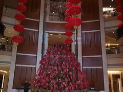 -深圳星河丽思卡尔顿酒店