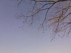 -虎丘湿地公园