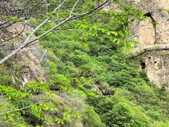 -十渡东湖港风景区