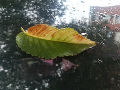 -卫鼎轩·家宴(水上公园店)