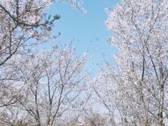 -堤角公园