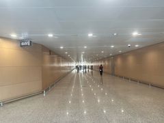 -青岛胶东国际机场