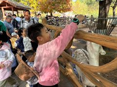 -鄂尔多斯野生动物园