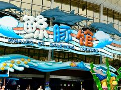 -海合安成都极地海洋公园