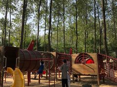 -合肥滨湖国家森林公园