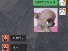 -HONGA HONGA雄家(曹路店)