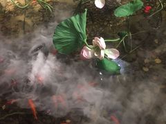 -苏浙徽·江南荟·本味融合菜(相城方圆里店)