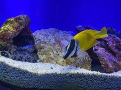 -上海海洋水族馆