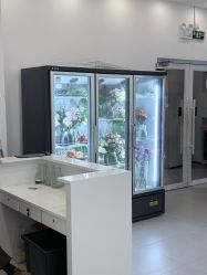 -北遇映画PHOTO GRAPHY STUDIO