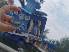 -华夏文旅海洋公园