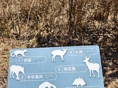 -浙西天池景区