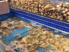 水产区-乔哥铭洋海鲜自助(皇城恒隆广场店)