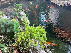 -鲤院·新中式美学·庭院餐厅(夫子庙店)