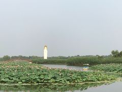 -白洋淀景区