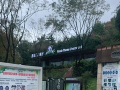 -熊猫主题餐厅