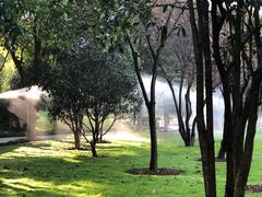 -堤角公园