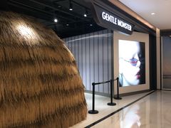 -GENTLE MONSTER(西安SKP店)