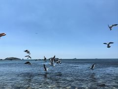 -银沙滩浴场