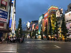 -秋叶原电器街