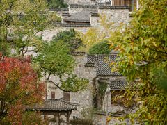 -塔川景区